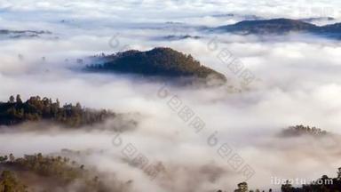 晨雾在森林山脉景观, 斯里兰卡延时